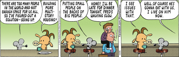 pearls